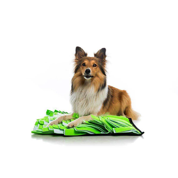Snuffle-Mat-White-Green-03