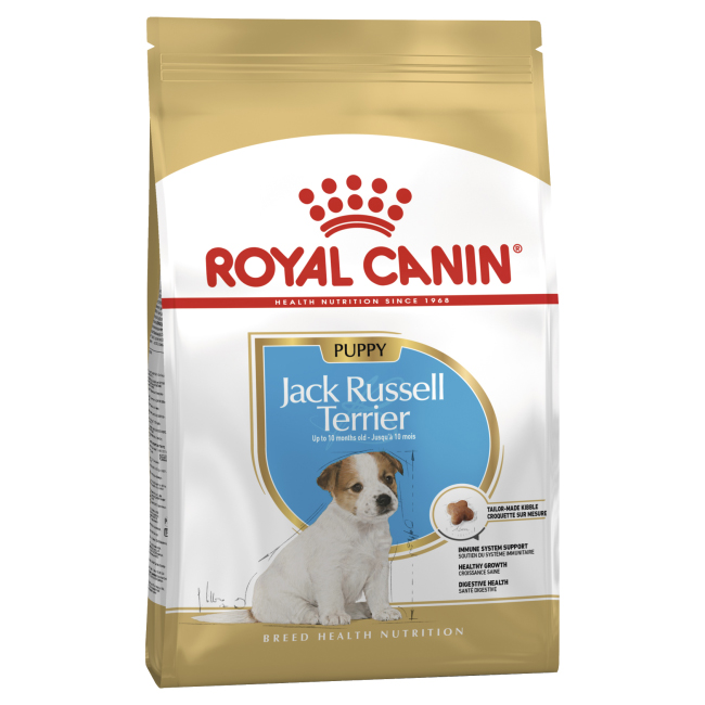 RC_Jack_Terr_Pup_01