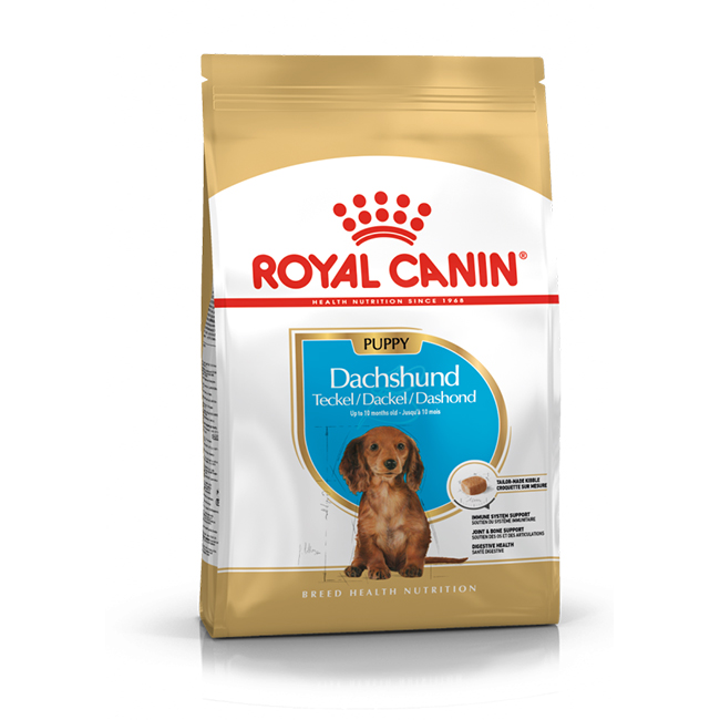 RC_dachshund_pup_01