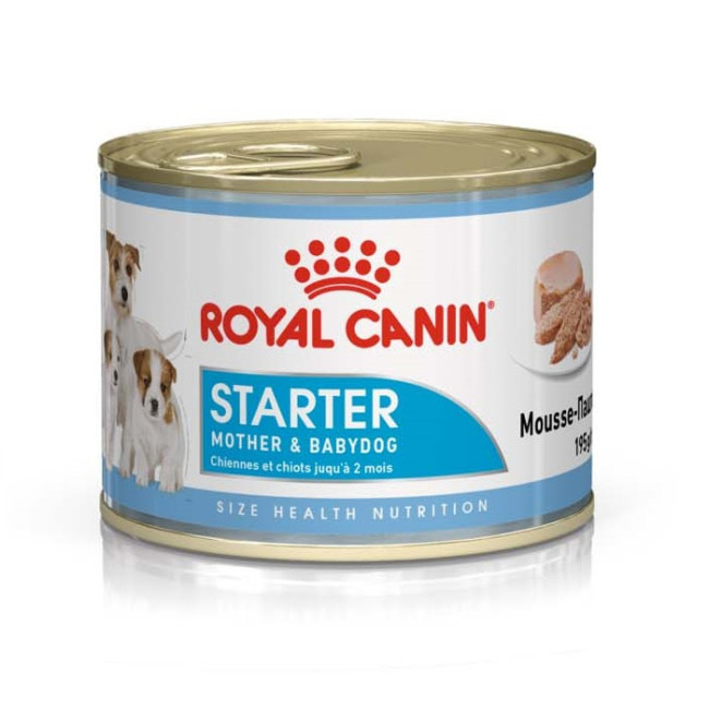 RC_mother_babydog_01