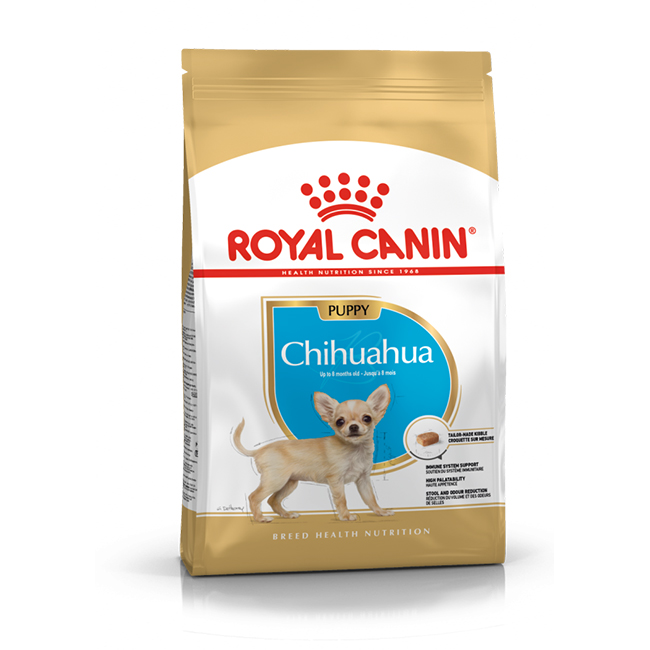 RC_puppy_chihua_01