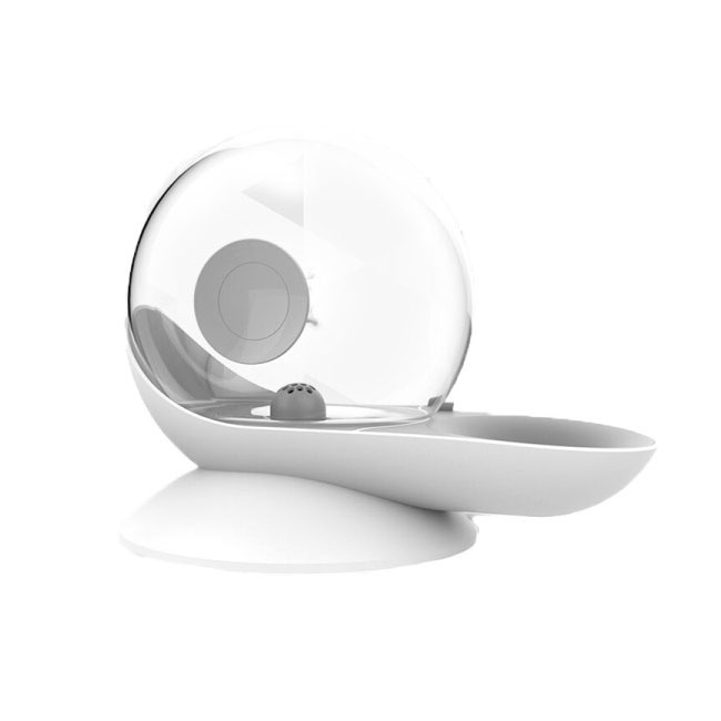 snail_water_01