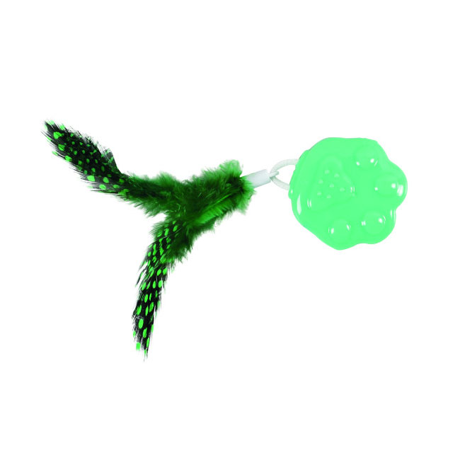 tempo_paw_1