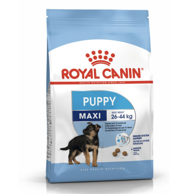 RC-_Maxi_Jun_Pup_01