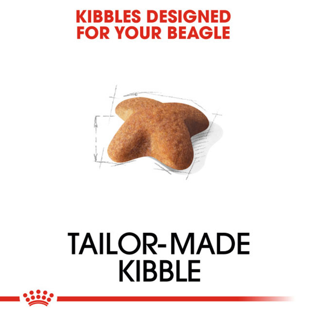 RC_Beagle_food_03