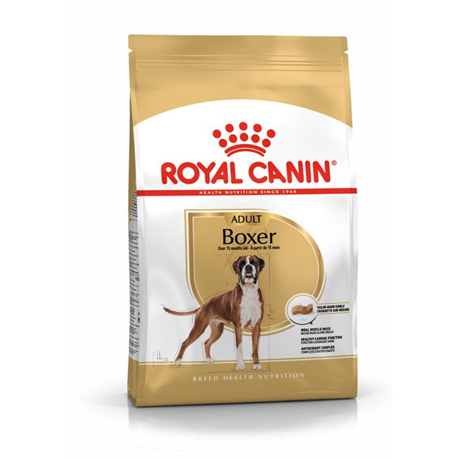 RC_Boxer_Adu_01