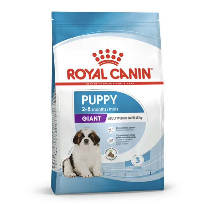RC_Giant_Pup_01