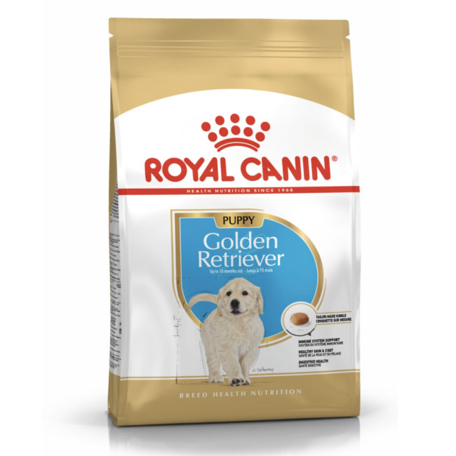 RC_Gold_Retriv_Foo_01