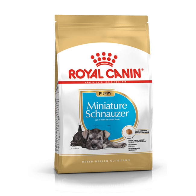 RC_Min_Schnauzer_Jun_01
