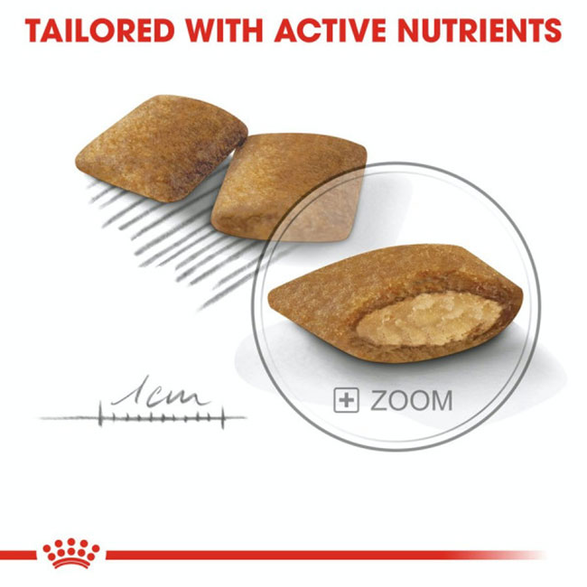RC_Mini_EXIG_Food_03