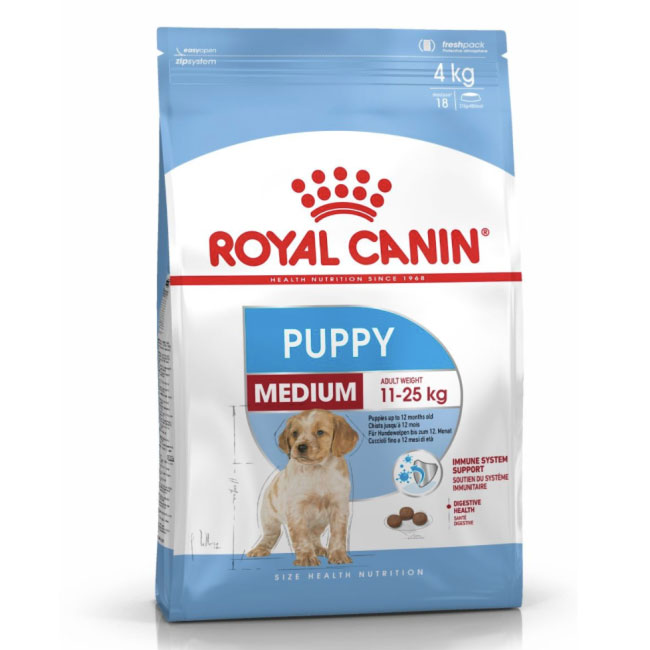 RC_Pup_Medium_01