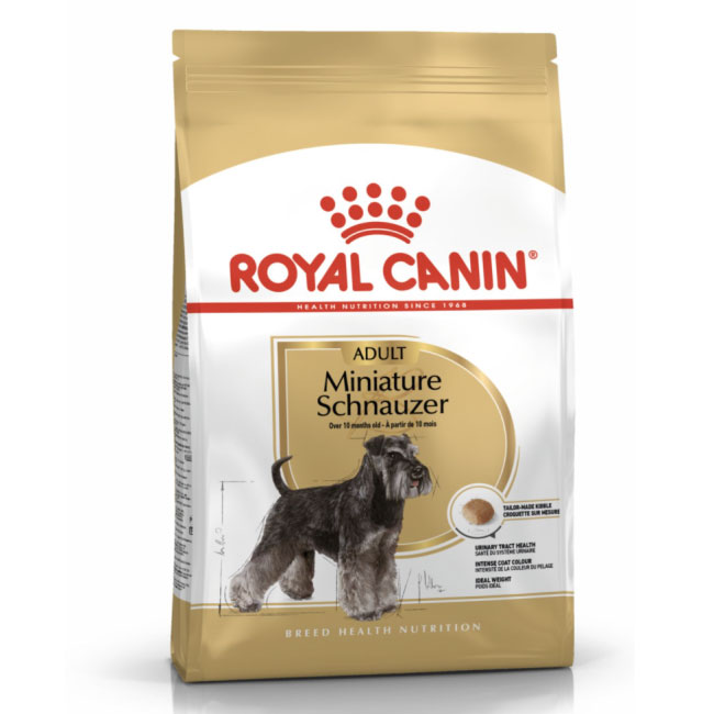 RC_Schnauzer_Foo_01