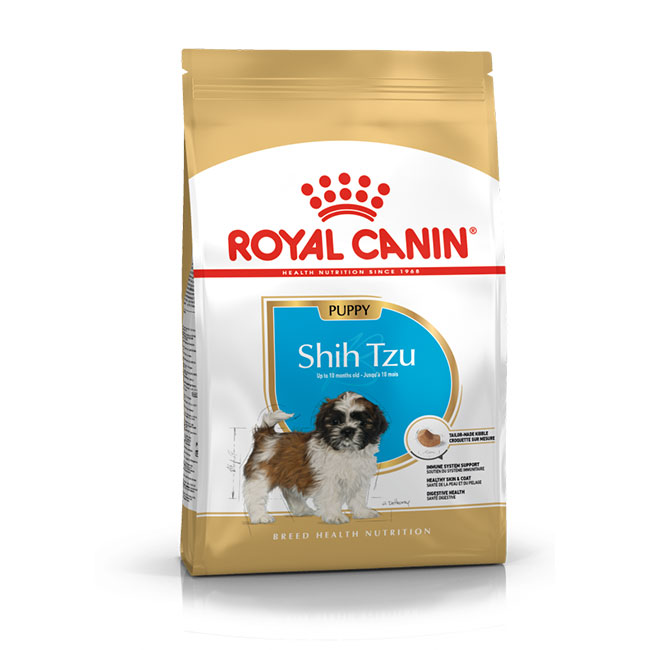 RC_Shih_Pup_01