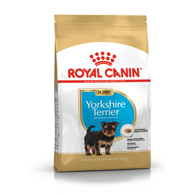 RC_York_Ter_Jun_01